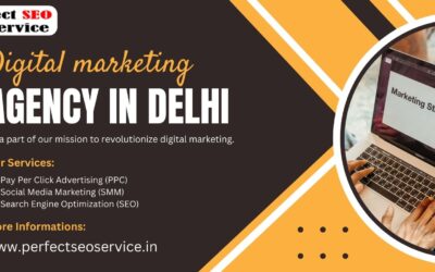SEO Service in Delhi